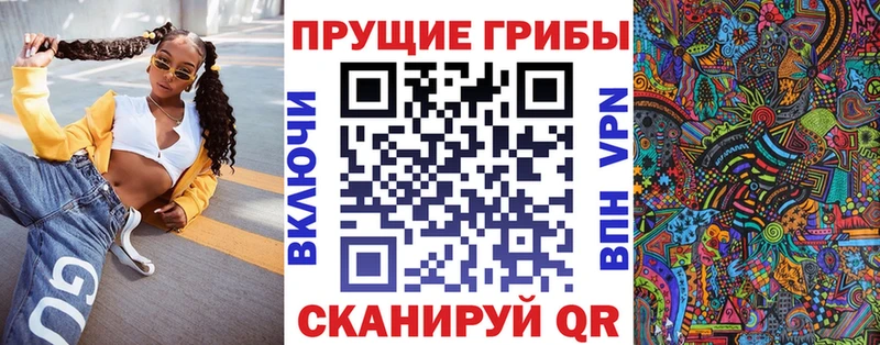 магазин продажи   Назрань  Псилоцибиновые грибы MAGIC MUSHROOMS 